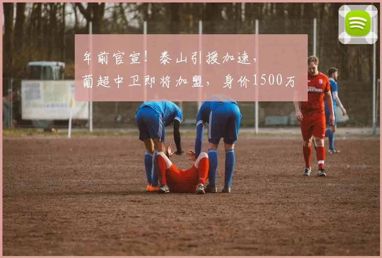 年前官宣！泰山引援加速， ​​​葡超中卫即将加盟，身价1500万
