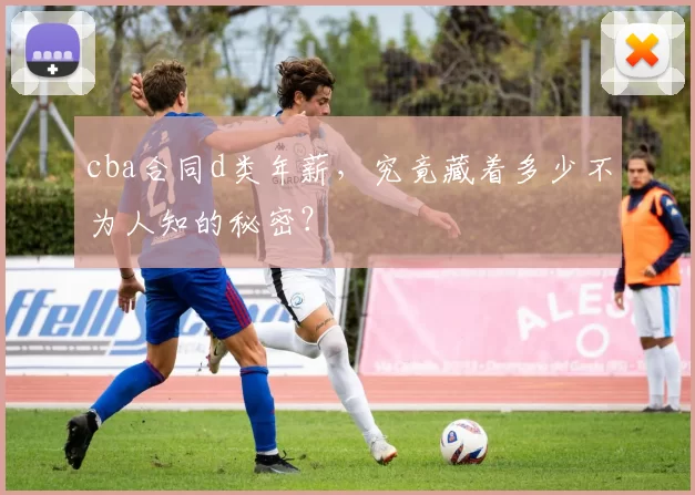 cba合同d类年薪，究竟藏着多少不为人知的秘密？