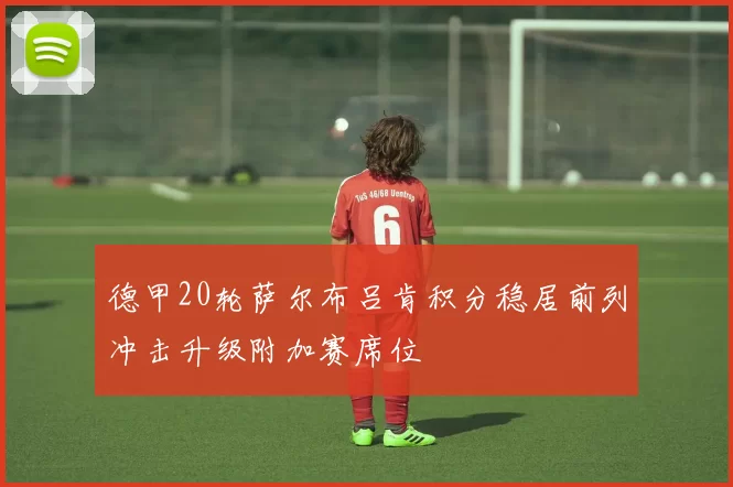 德甲20轮萨尔布吕肯积分稳居前列冲击升级附加赛席位